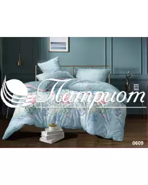 КПБ 2.0 спальный с Евро простыней, сатин 0609 (235) (75м)